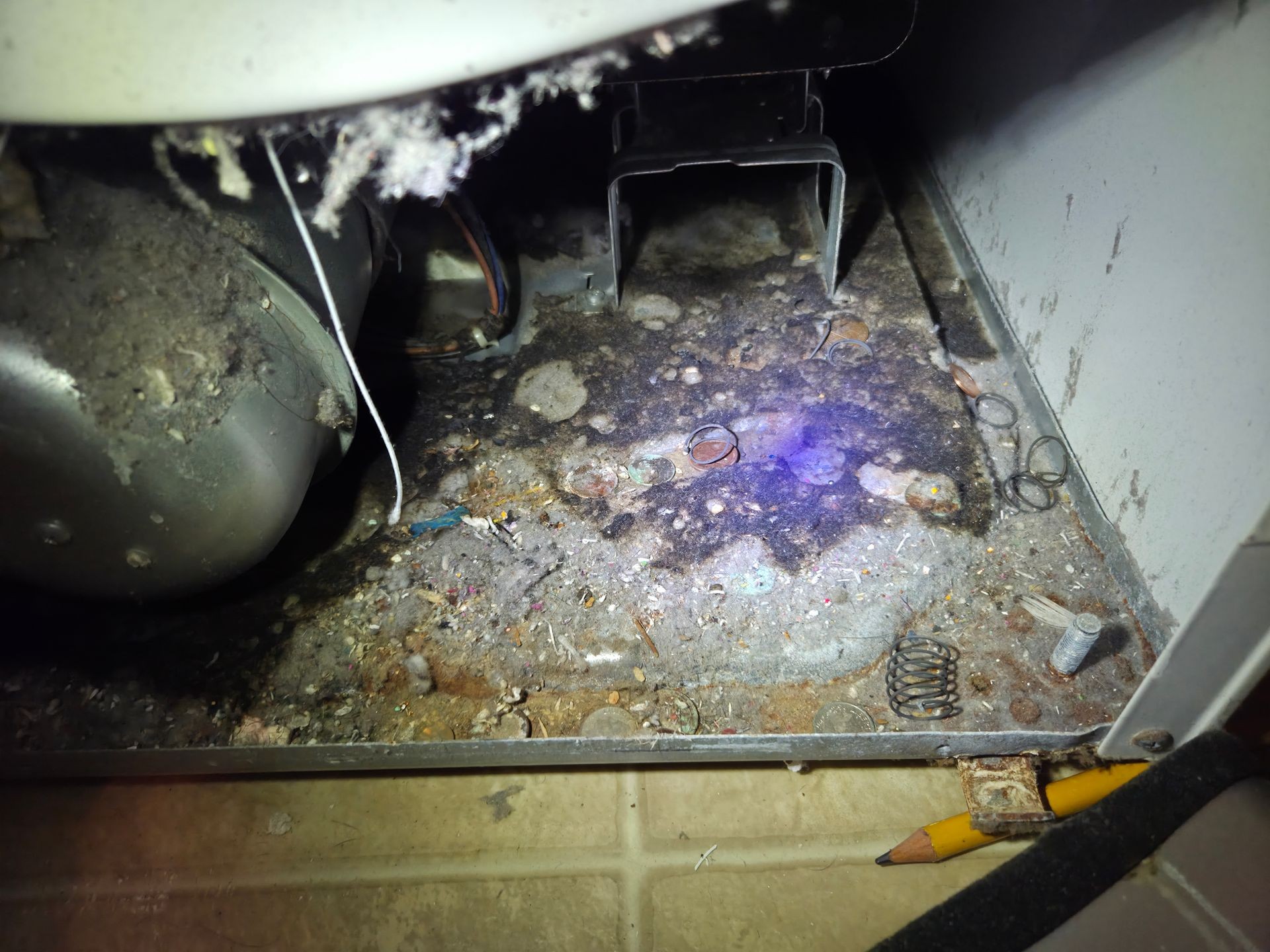 Dryer vent cleaning
